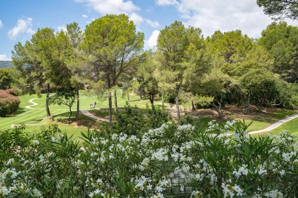 property_HH-15340736-25