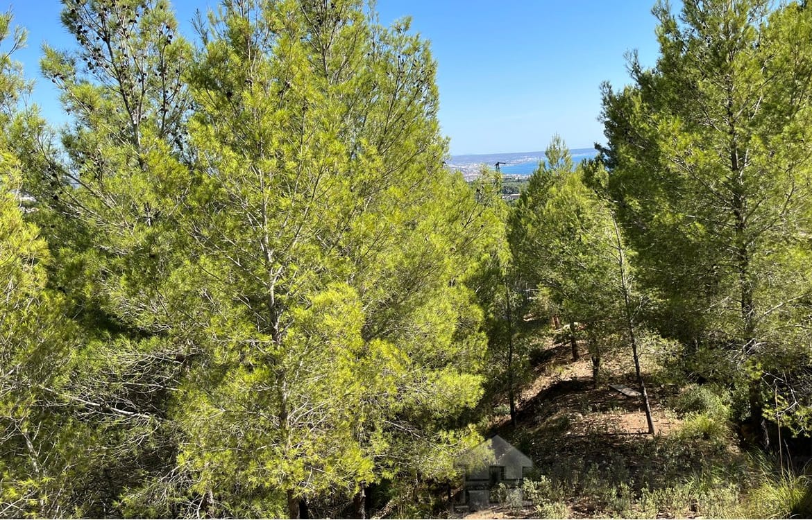 property_HH-14717180-7