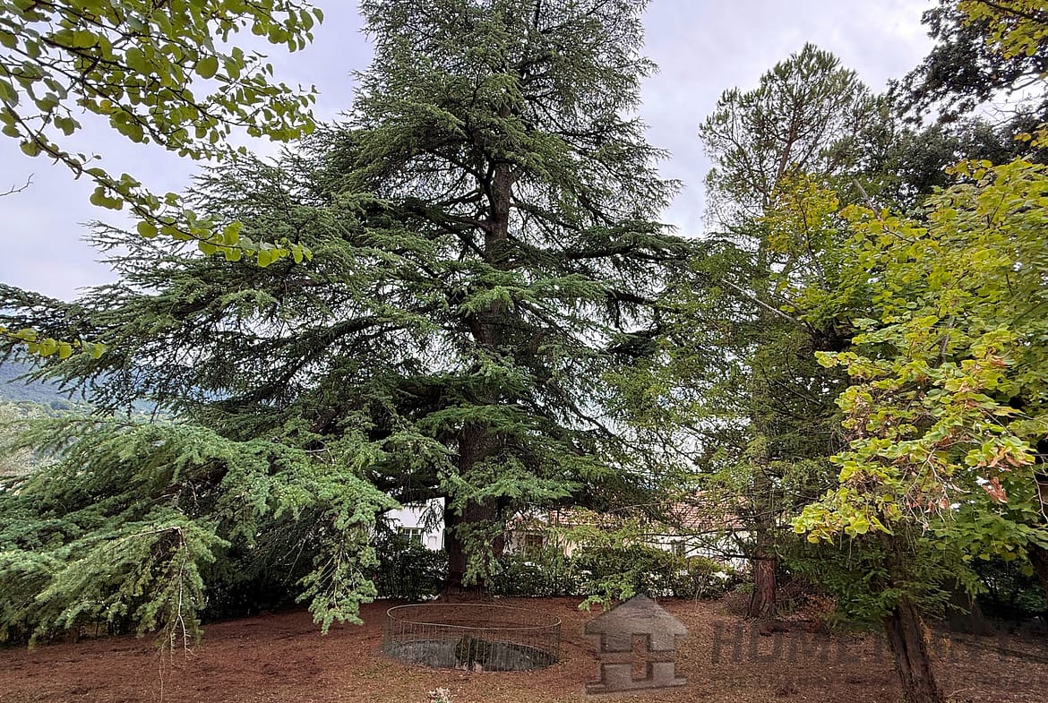 property_HH-15921033-12