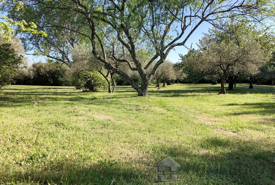 property_HH-15439922-13