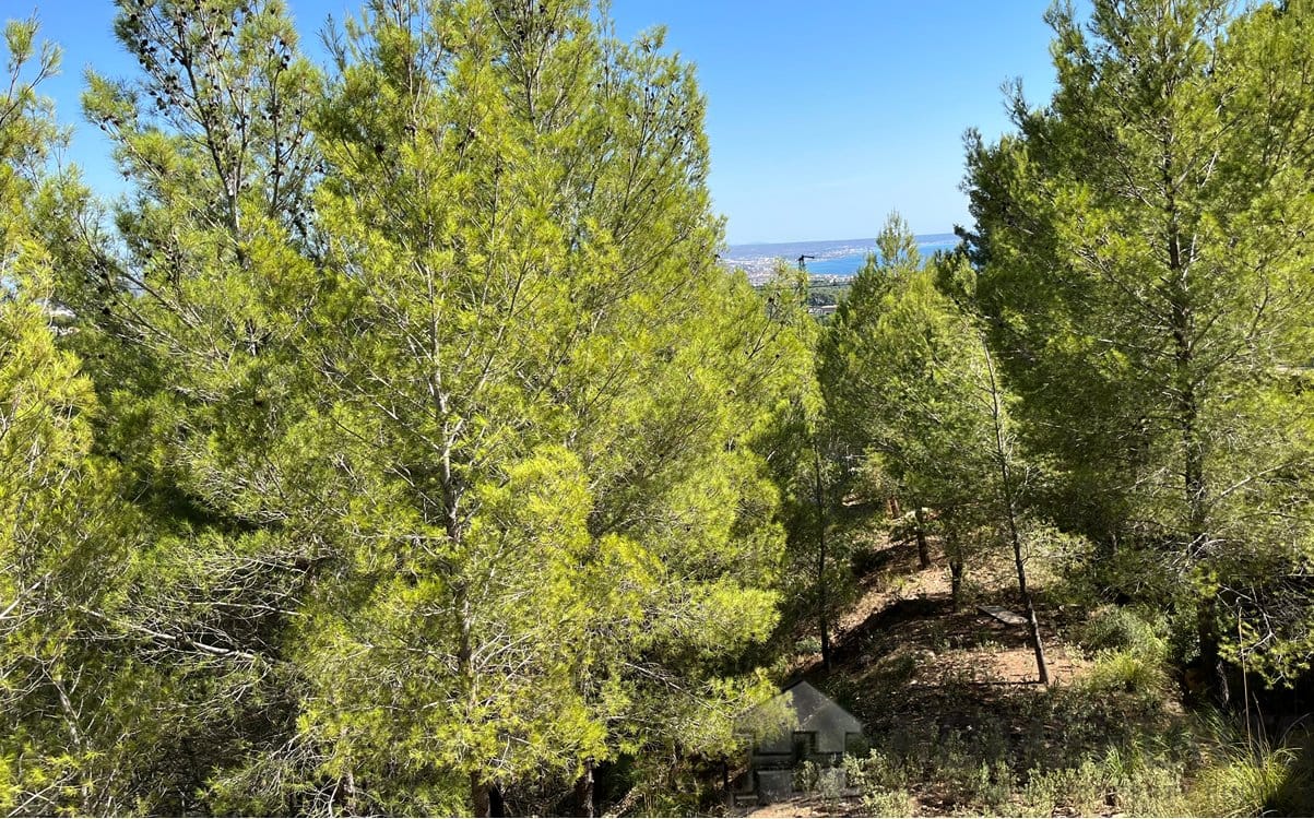 property_HH-14717180-7