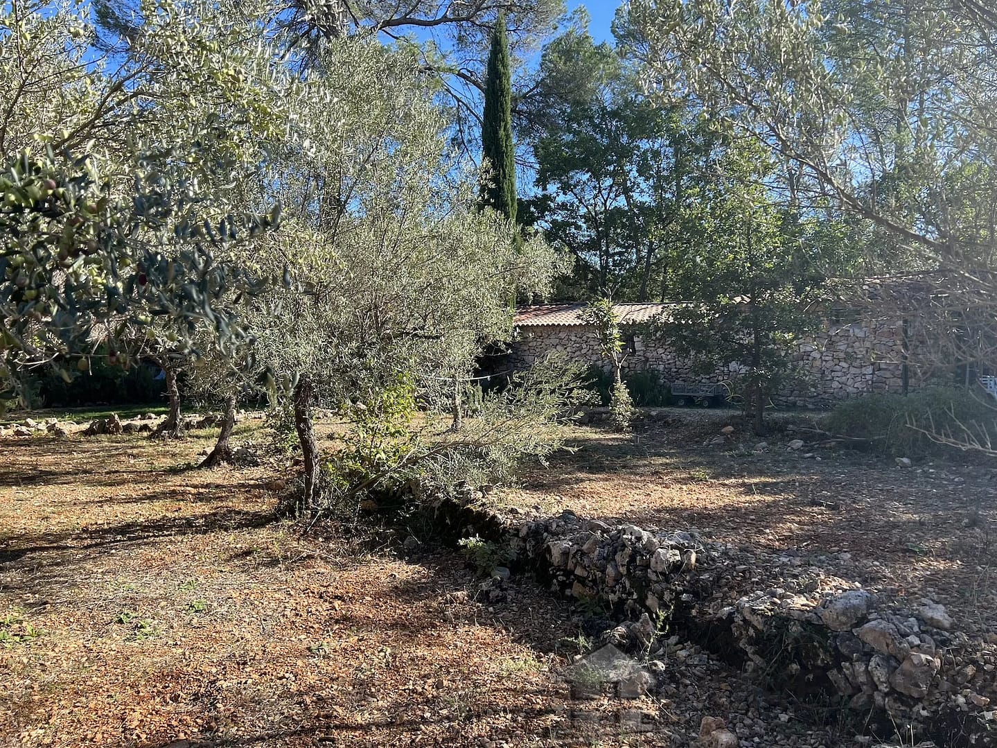 property_HH-15409344-10