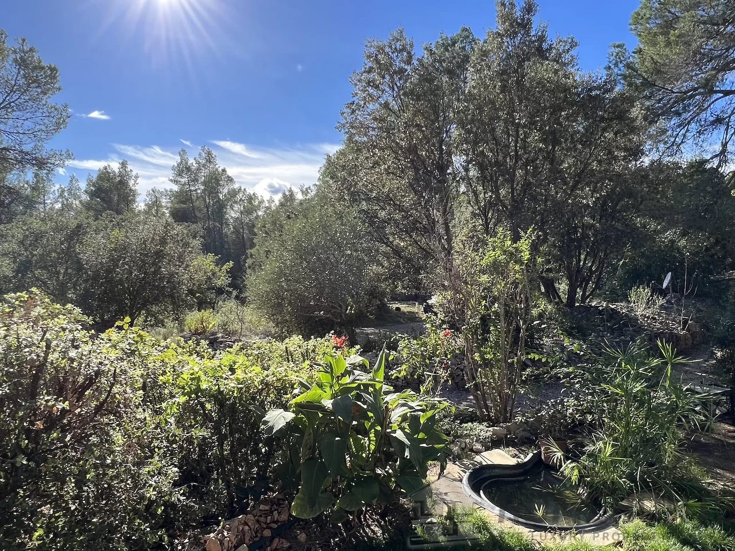 property_HH-15409344-11