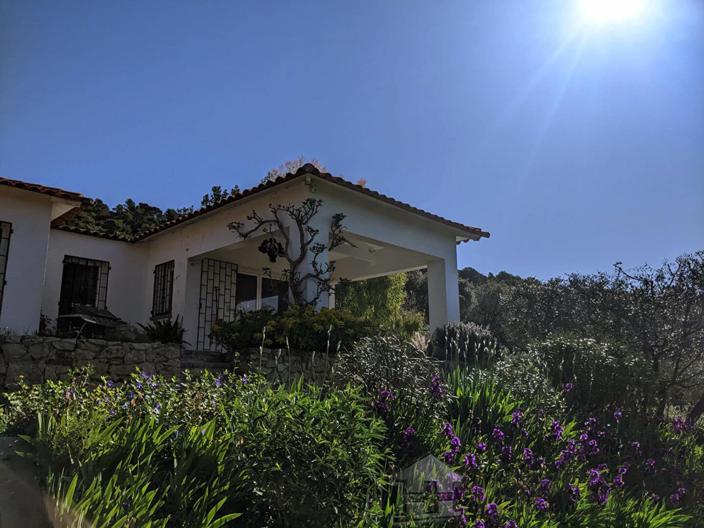 property_HH-15399681-9