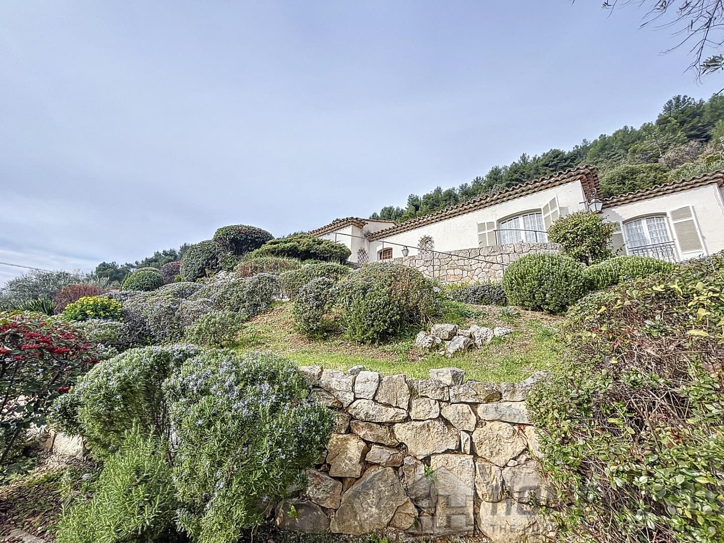 property_HH-15396169-2