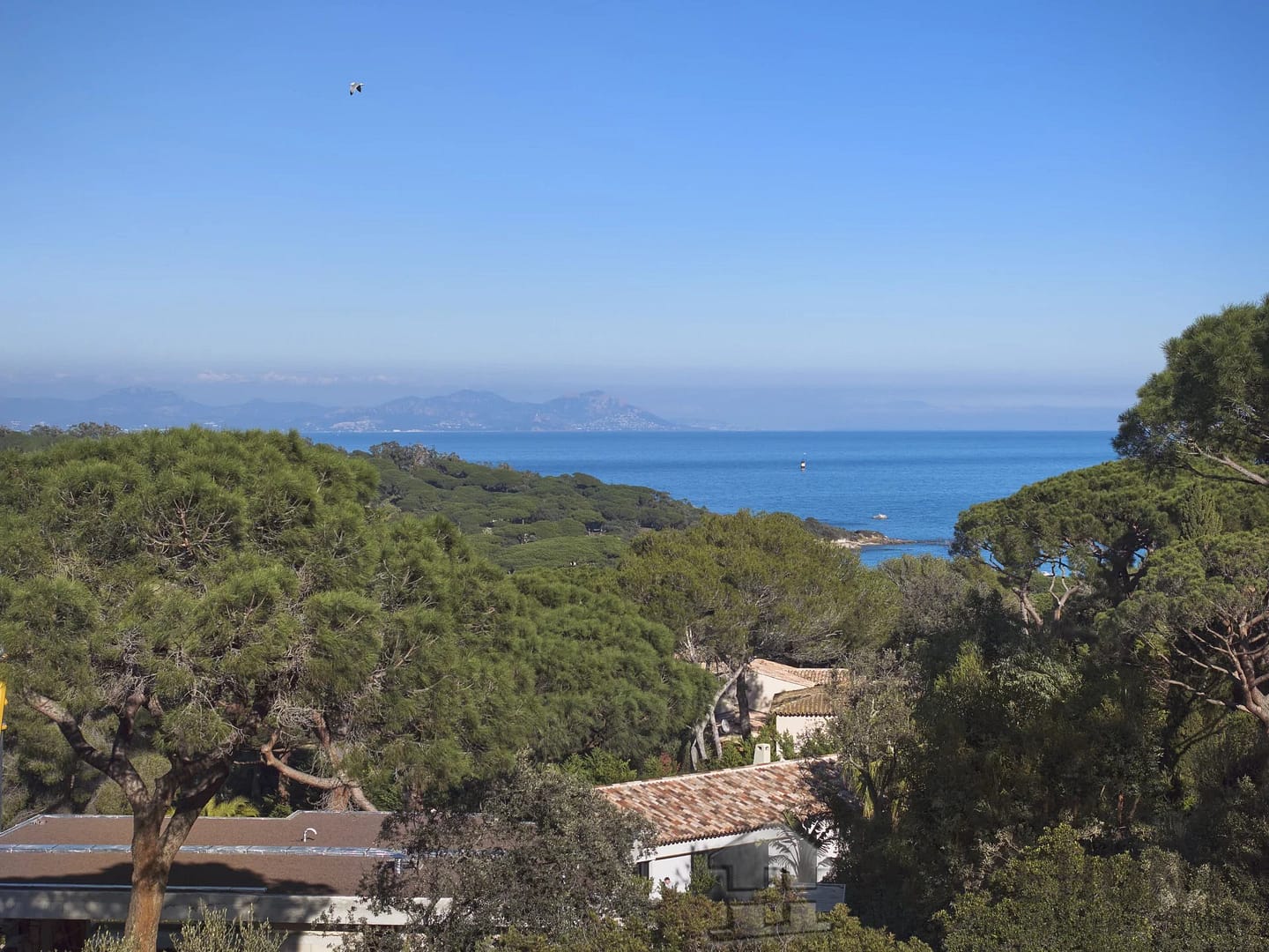 Land in Saint Tropez 24