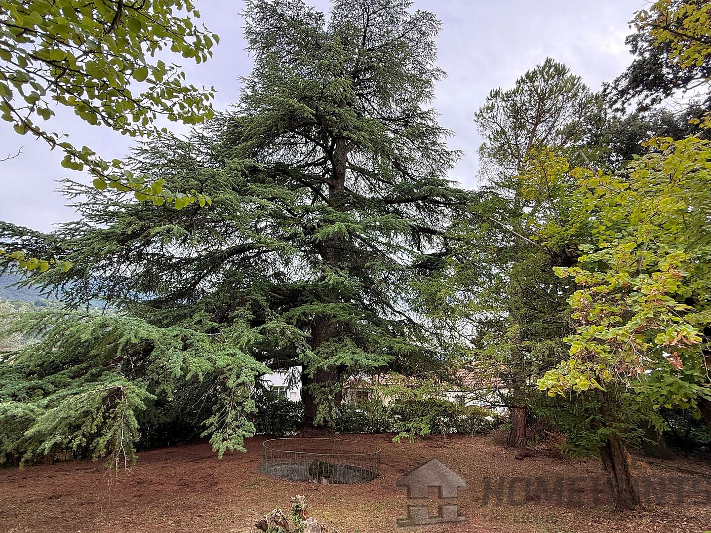 property_HH-15921033-12