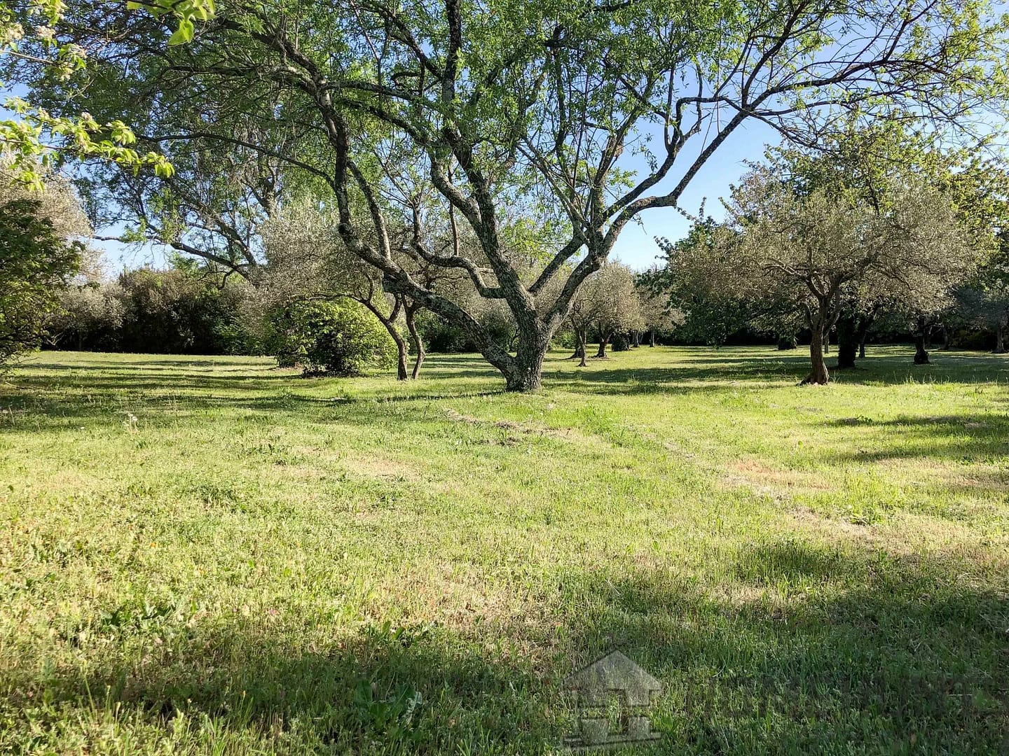 property_HH-15439922-13