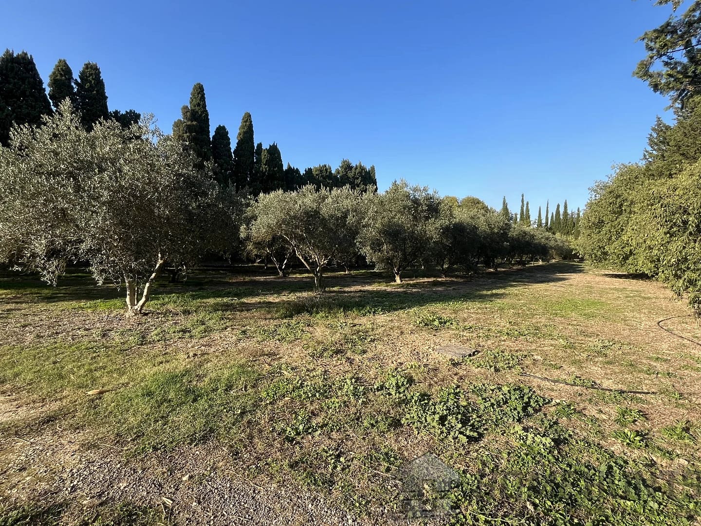 property_HH-15966806-12