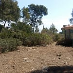 Land in Cala Vinyes 8