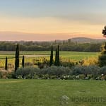 6 Bedroom Vineyard in Aix En Provence 6