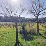 2 Bedroom Villa/House in Cassis 8