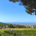 6 Bedroom Villa/House in Le Cannet 25
