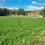 5 Bedroom Villa/House in Palafrugell 4