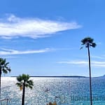 4 Bedroom Apartment in Juan Les Pins 8