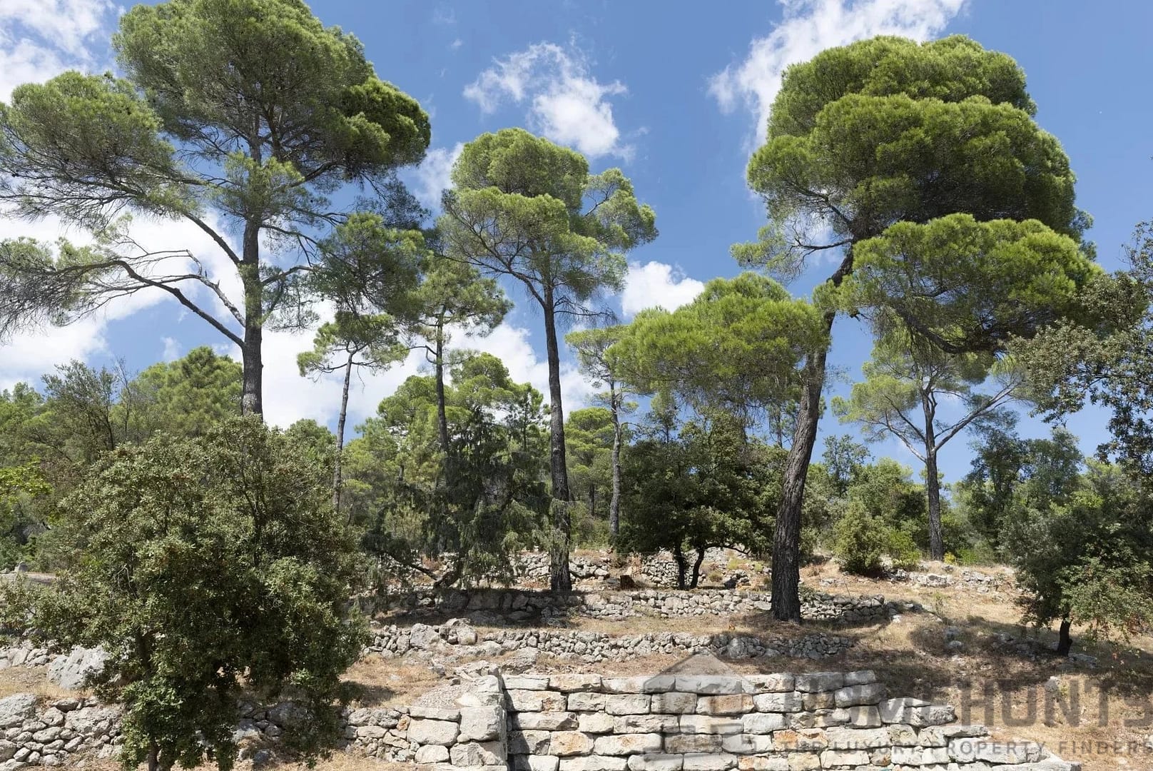 property_HH-15950969-20