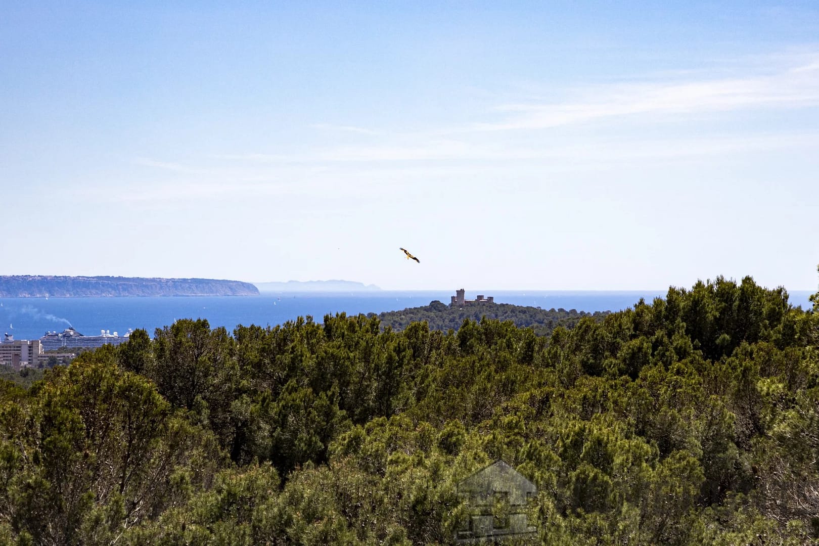 property_HH-15386647-24