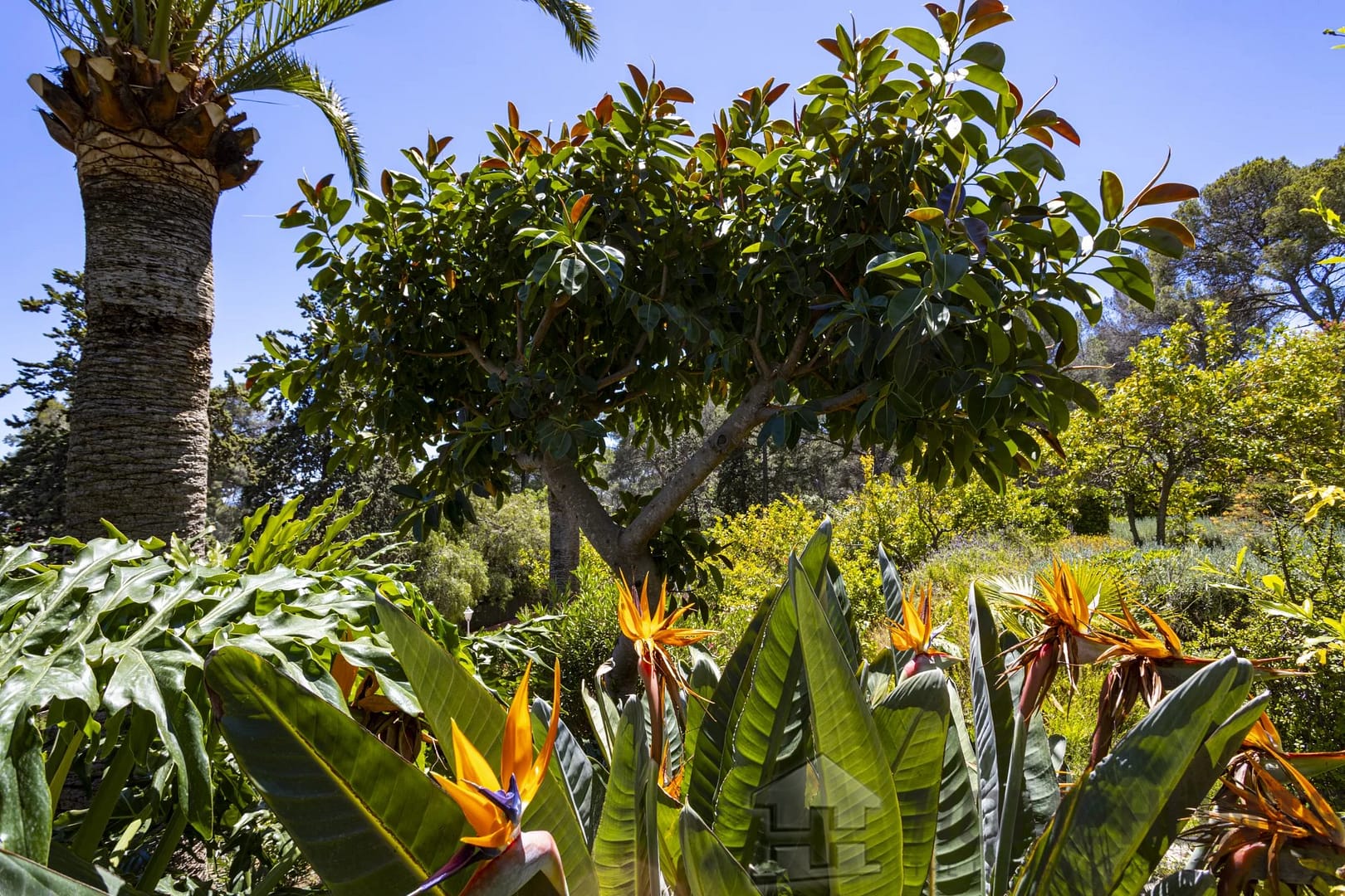 property_HH-15386647-26