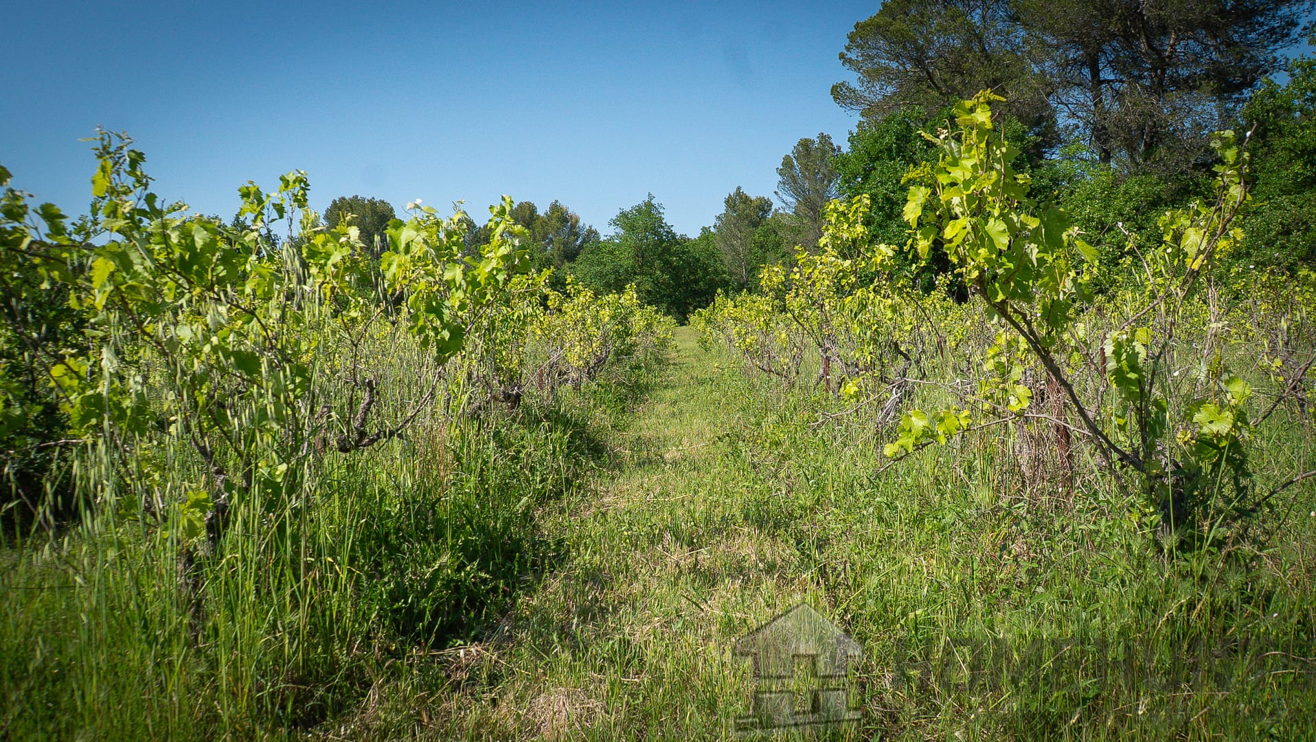 property_HH-15950625-13