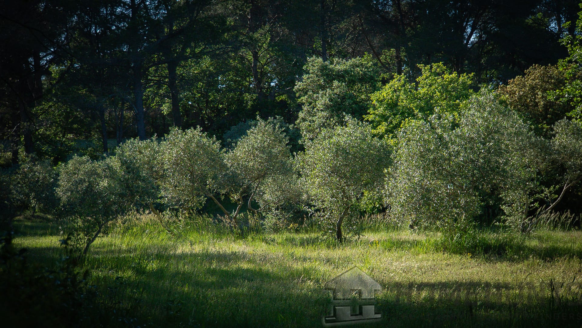 property_HH-15950625-15