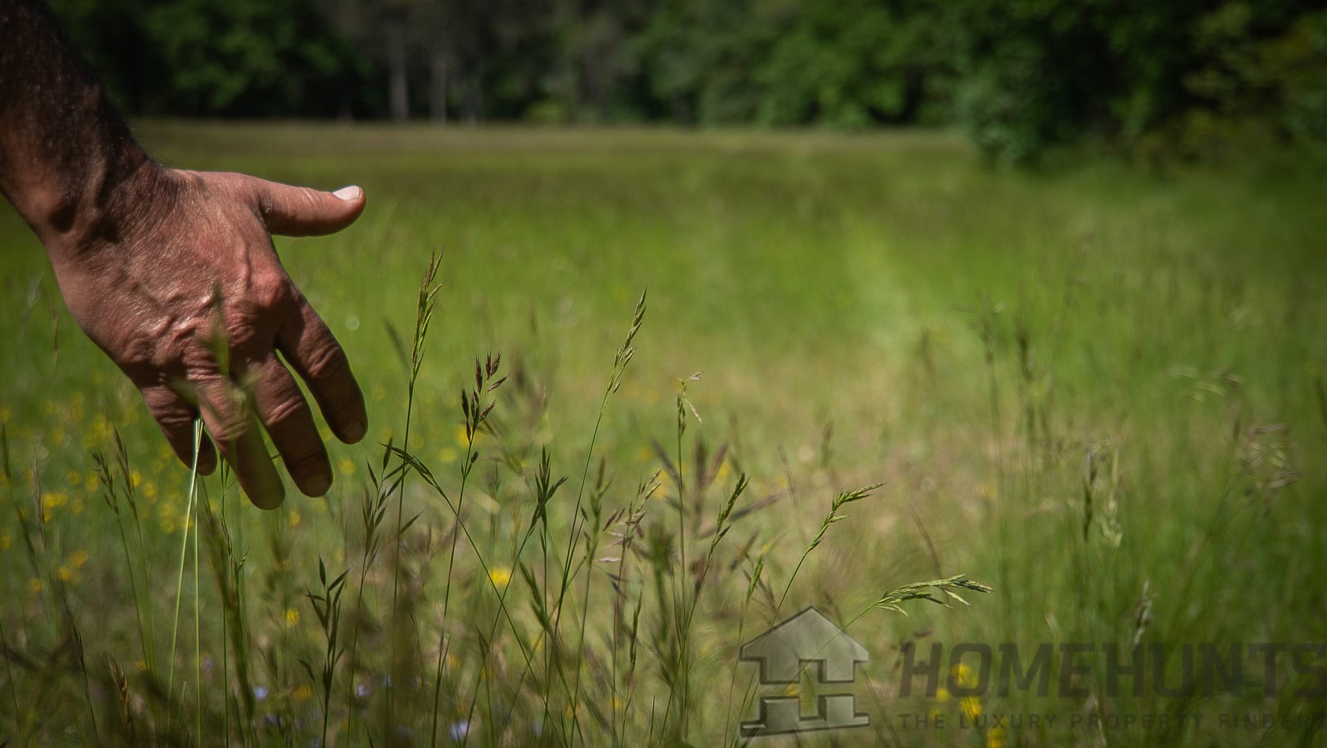 property_HH-15950625-9