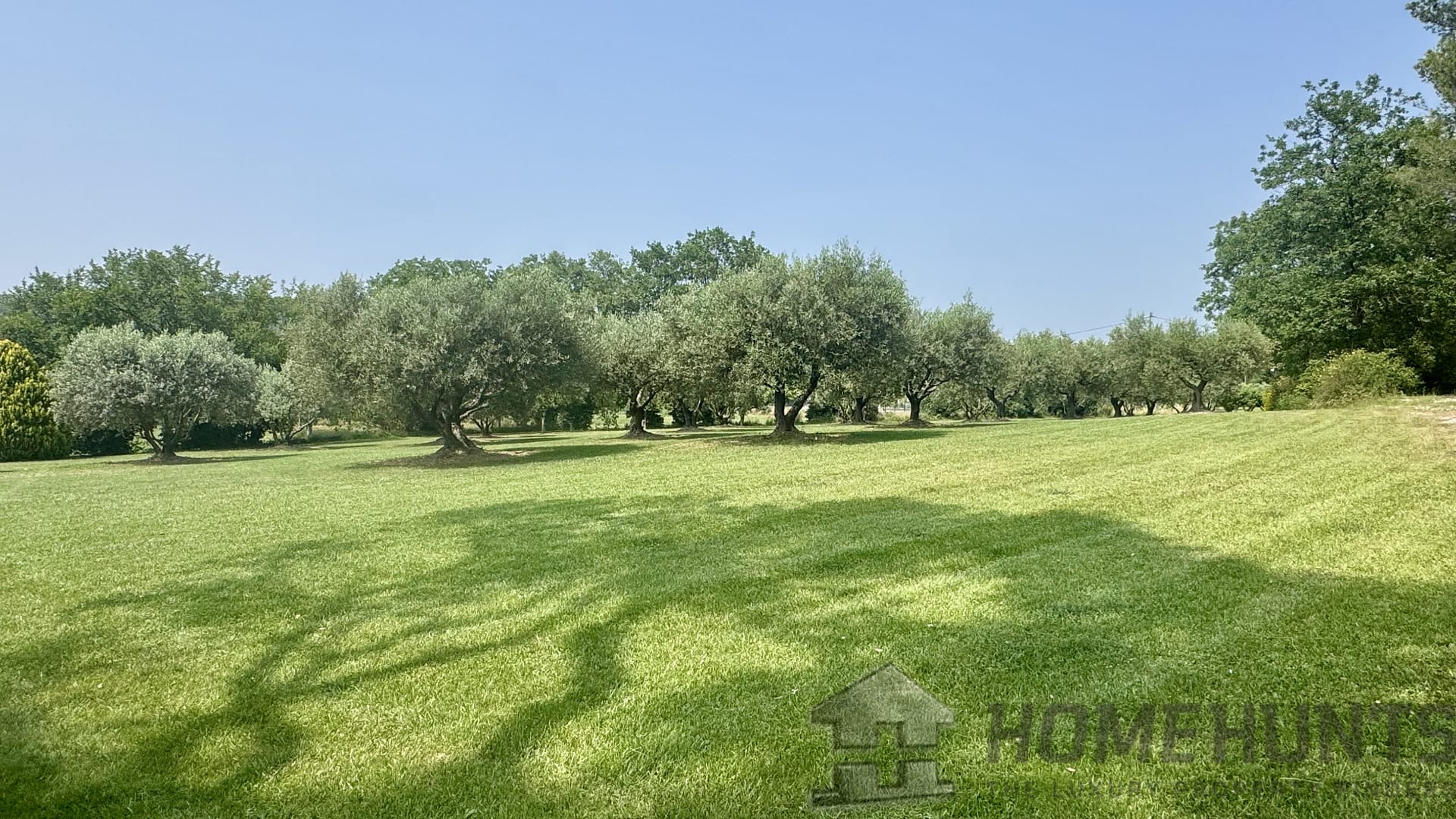 property_HH-15964998-11