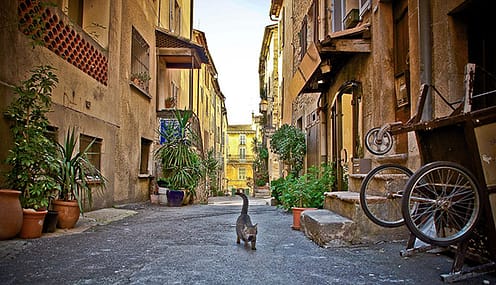 Photo of street in valbonne