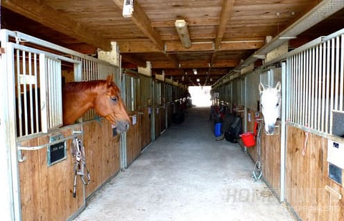 Five Must-See Equestrian Properties For Sale in France 3