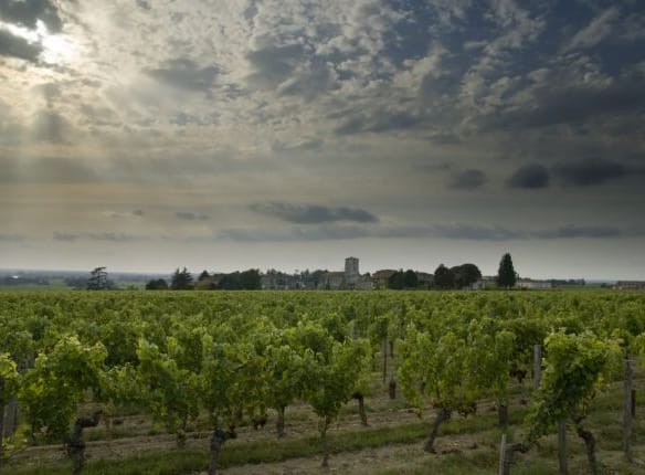 Lifting the curtains on Property hotspot in Bordeaux 6
