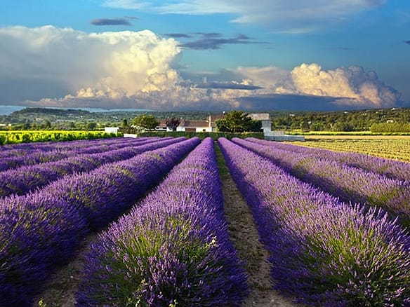 property in france