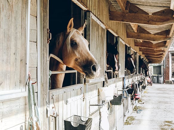 Photo by Anna Kaminova on Unsplash