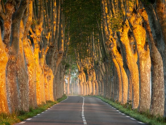 Yes! The French Property Market Opens Up 7