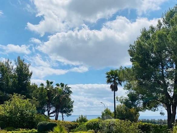 Land in Bendinat 6