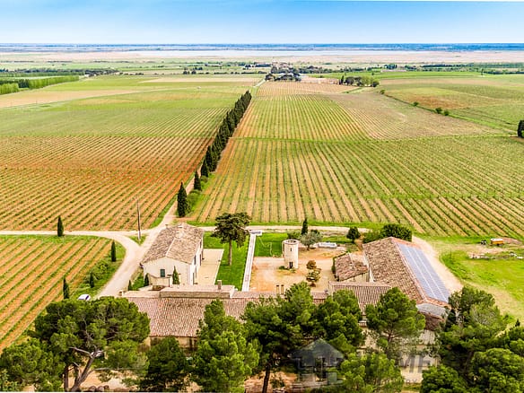 10 Bedroom Vineyard in Vauvert 2
