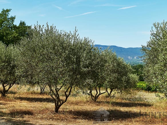 16 Bedroom Vineyard in Villelaure 26
