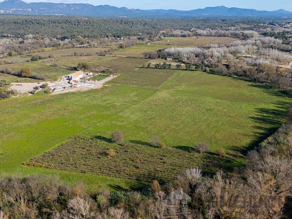Vineyard in Ste Maxime 24