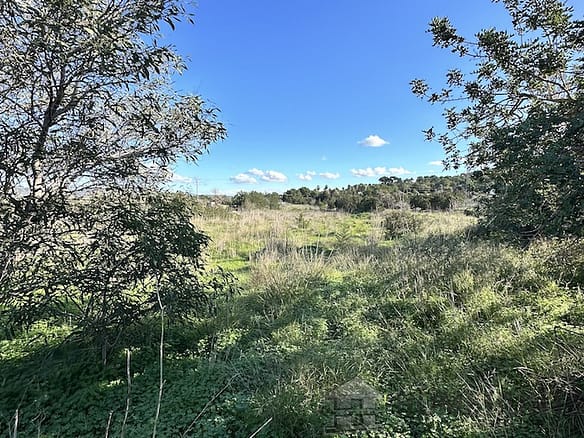 Land in San Josep 7