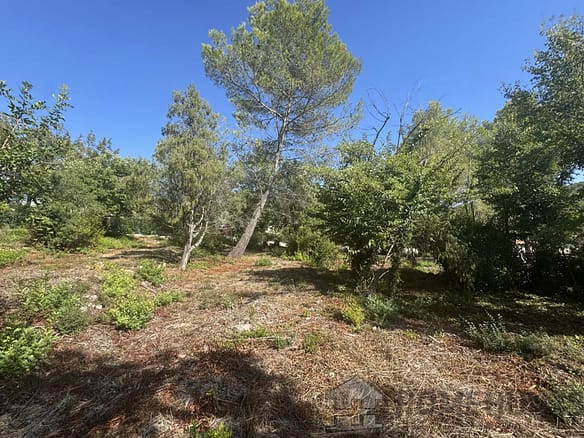 Land in Opio 3