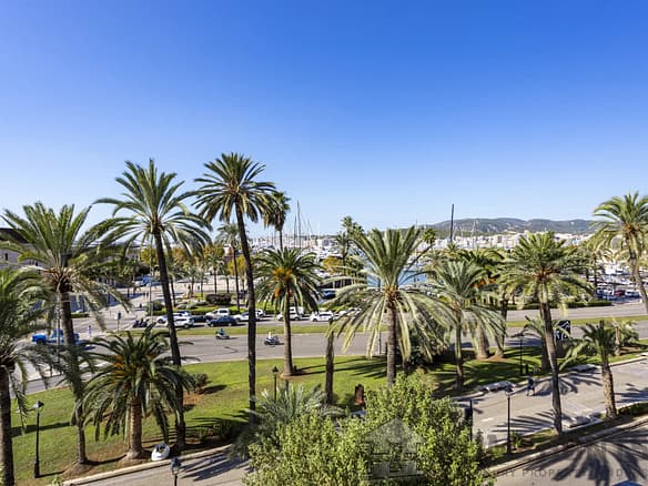 1 Bedroom Apartment in Palma 8