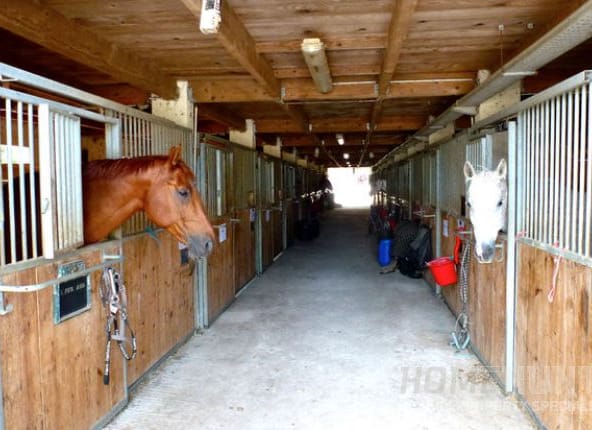 Five Must-See Equestrian Properties For Sale in France 1