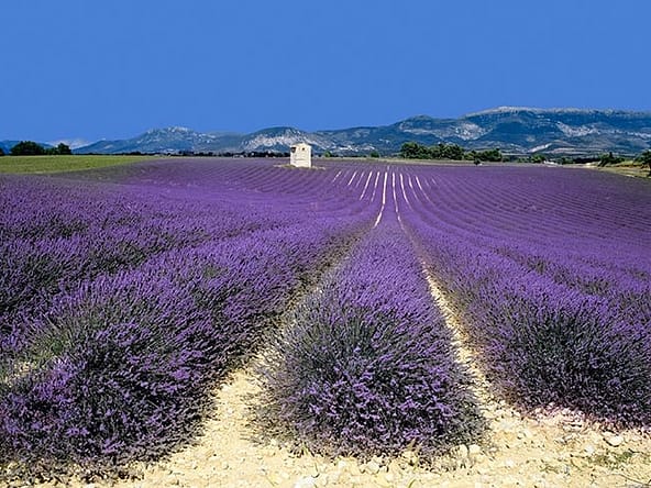 luxury property buyers guide to provence