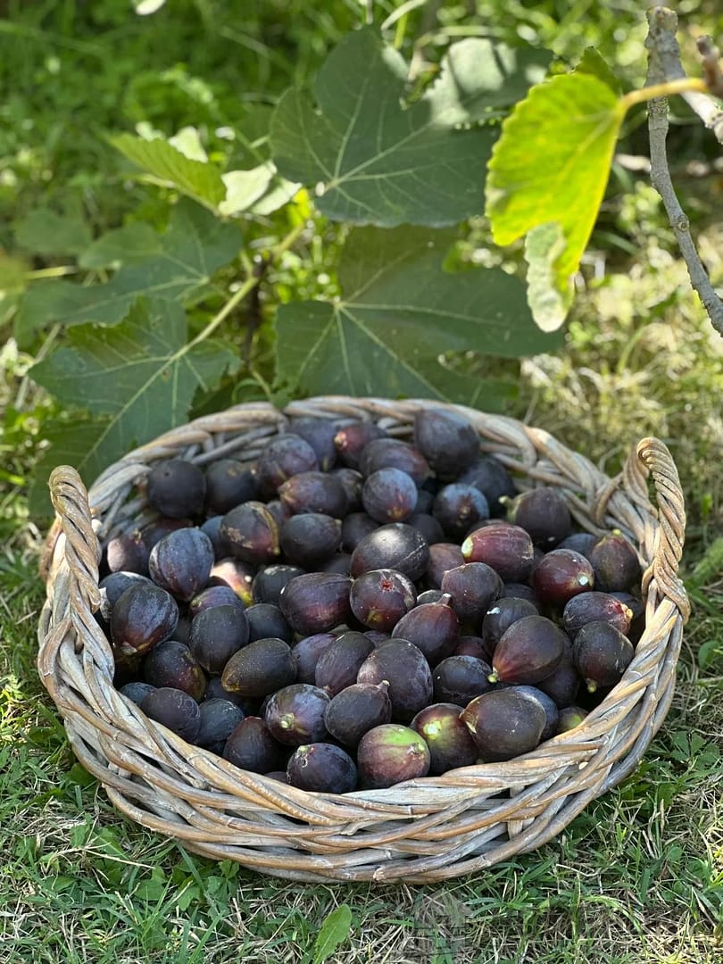 property_HH-15950737-12