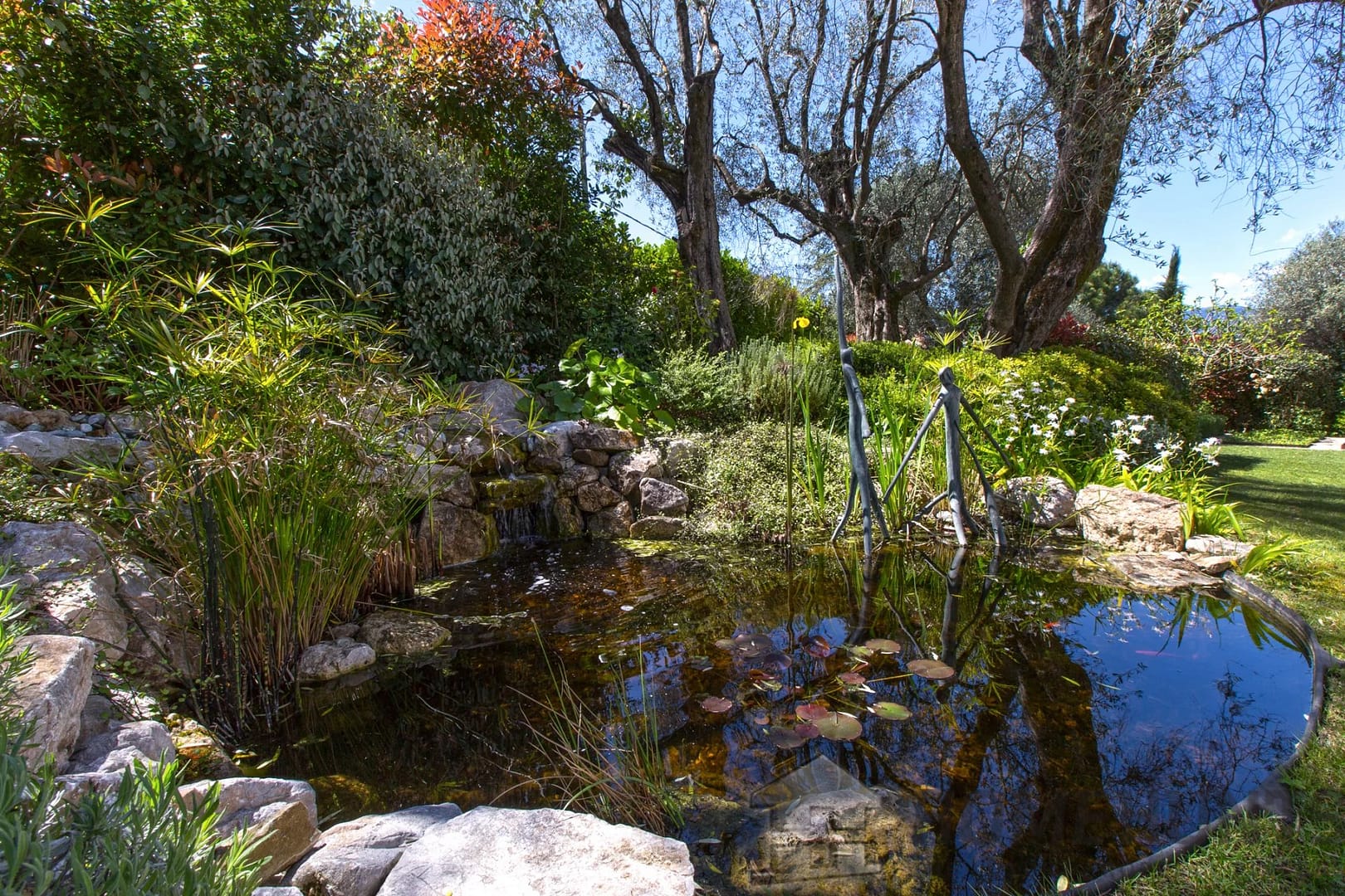 property_HH-16030386-11