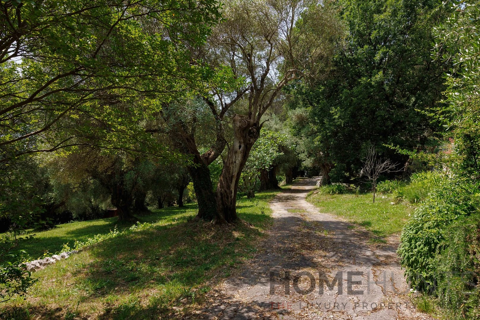 property_HH-16171736-14
