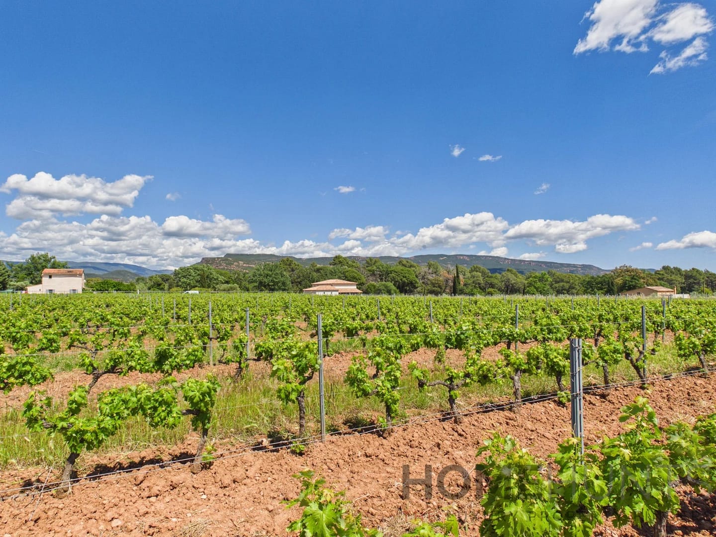 property_HH-16172810-28