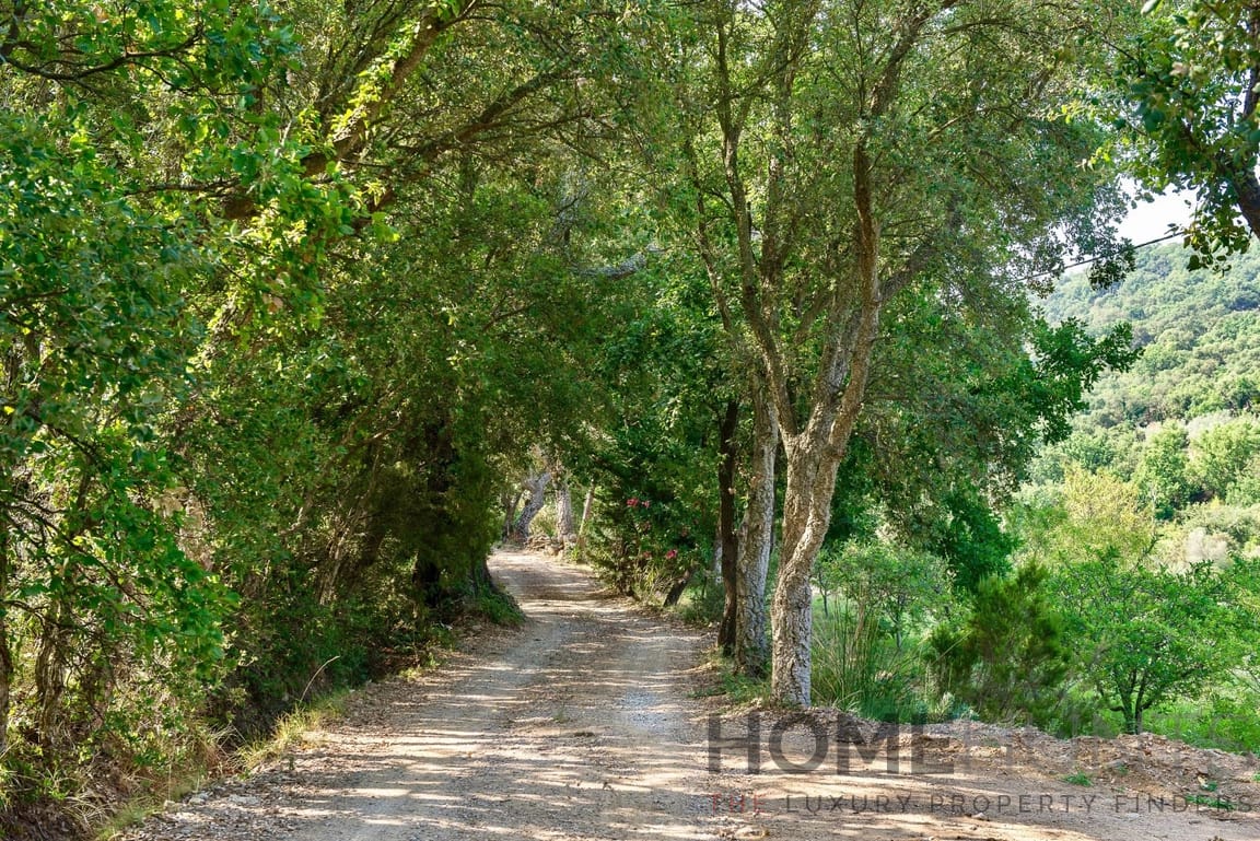 property_HH-15664892-5