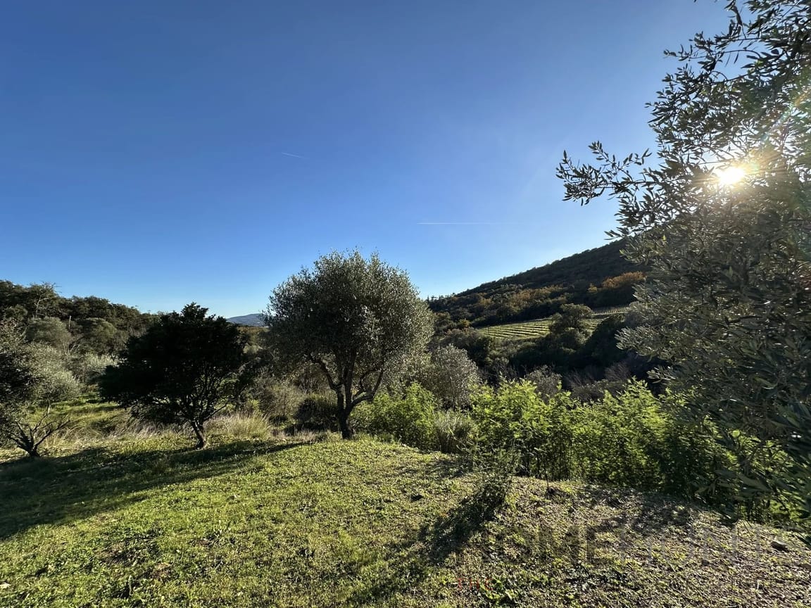 property_HH-15664892-6