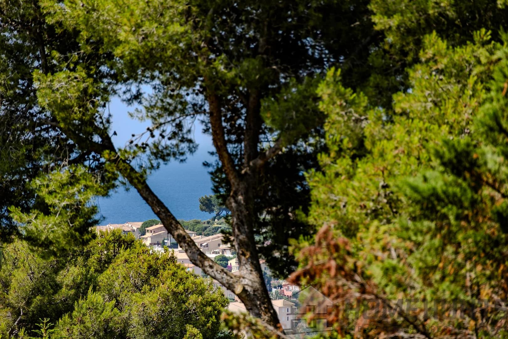 property_HH-16021783-15