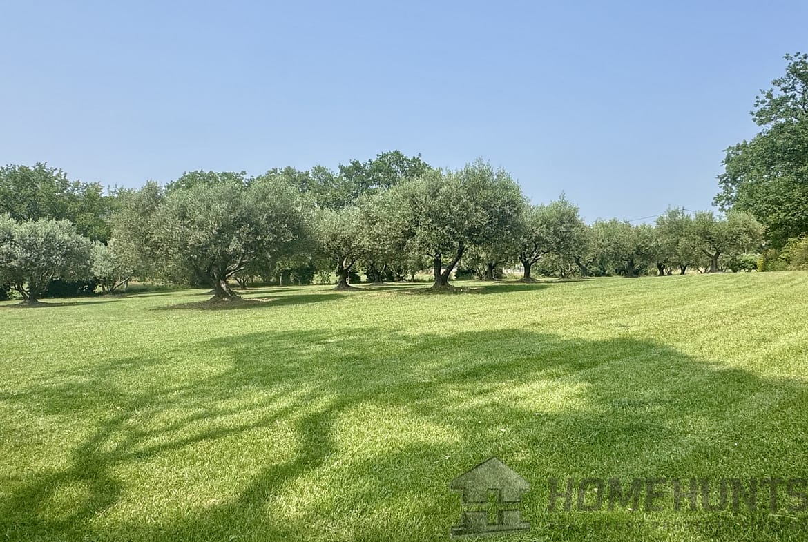property_HH-15964998-11