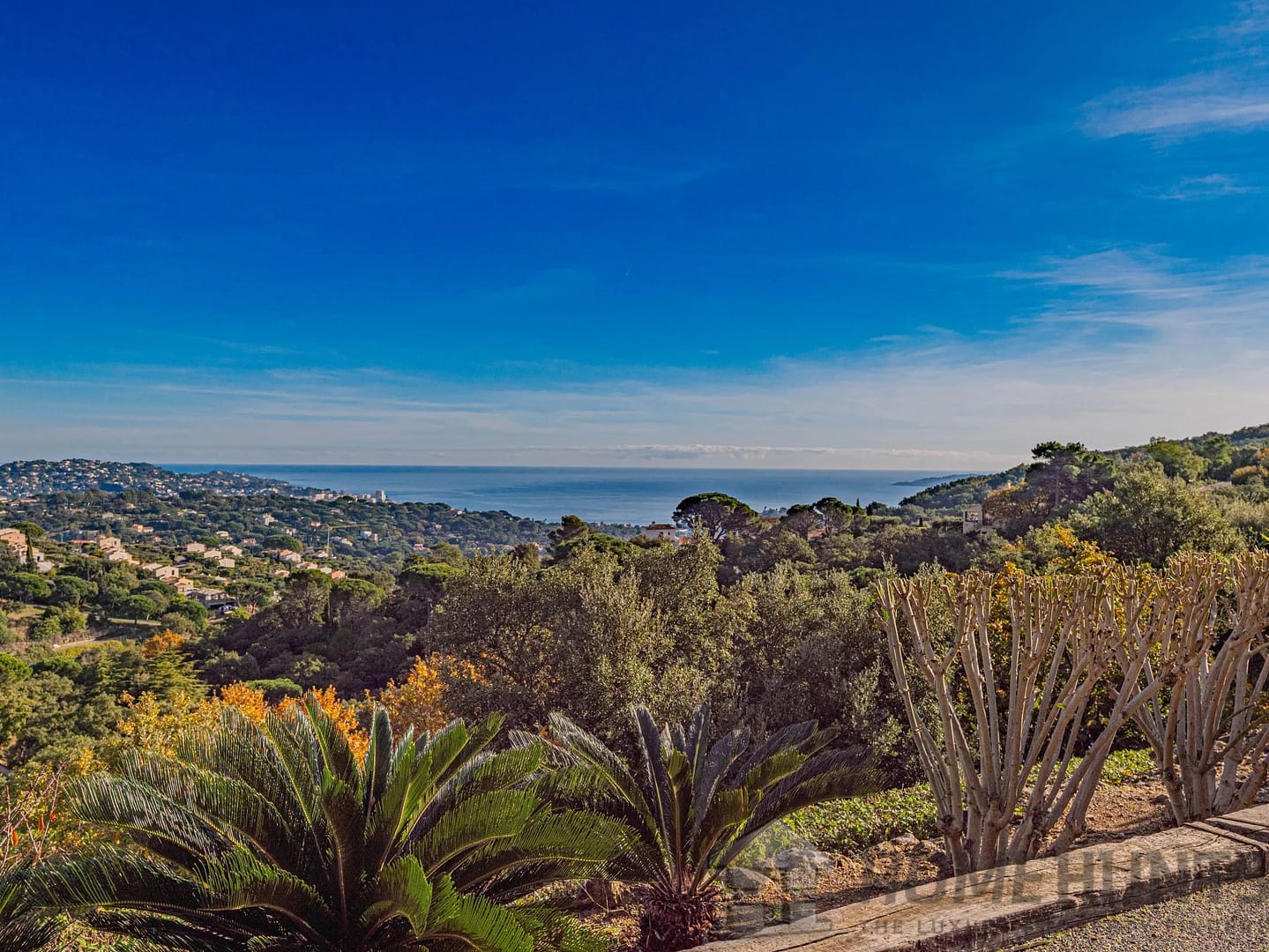 property_HH-16015289-3